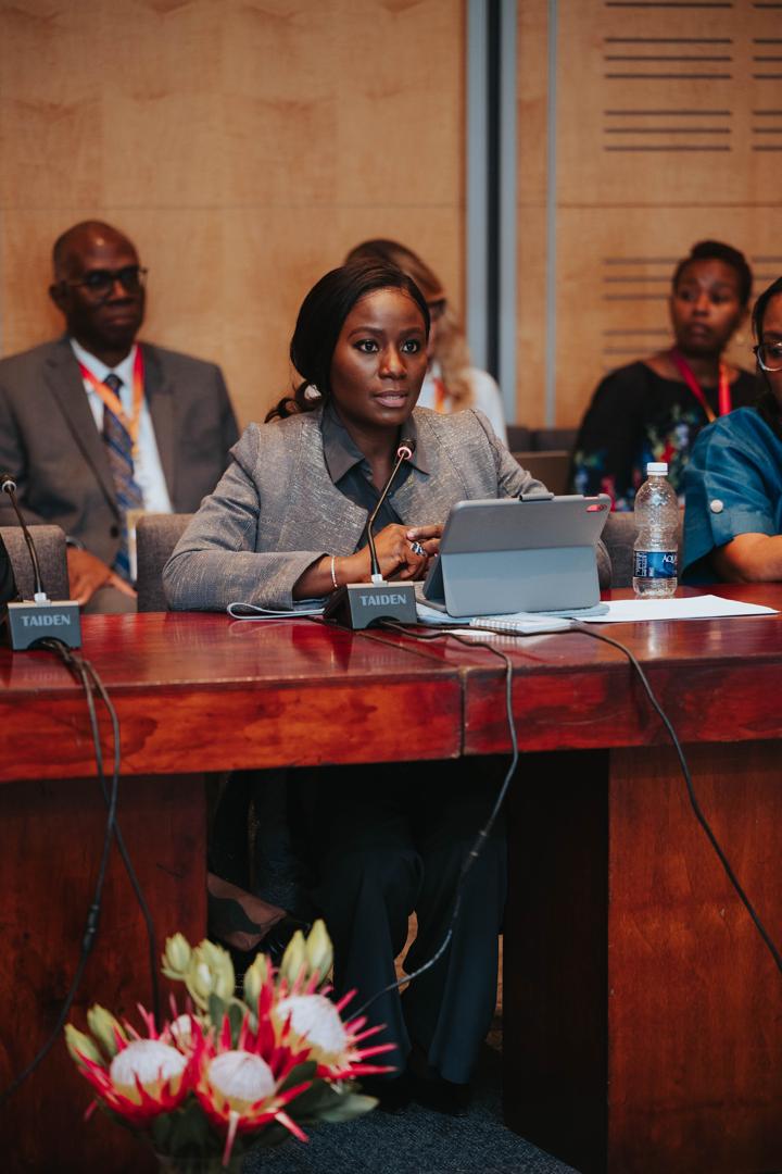 Bold leadership, inclusivity crucial for Africa's energy future, says Nigeria's Energy Adviser